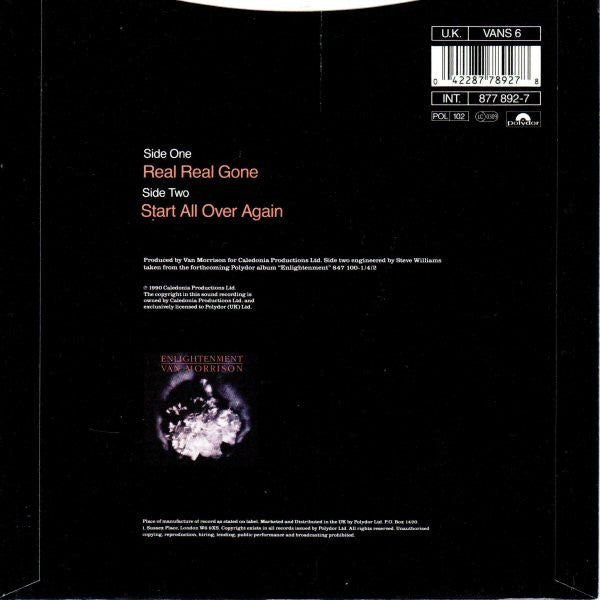 Van Morrison – Real Real Gone 7" vinyl record, image 2 of 4