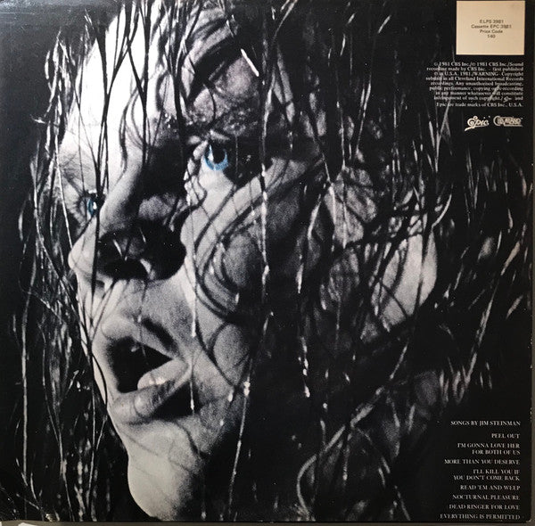 Meat Loaf – Dead Ringer LP vinyl record, image 4 of 7