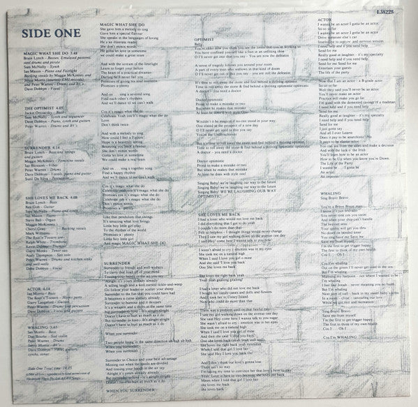 DD Smash – The Optimist LP vinyl record, image 5 of 6