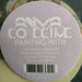 Animal Collective – Painting With LP vinyl record, image 5 of 9