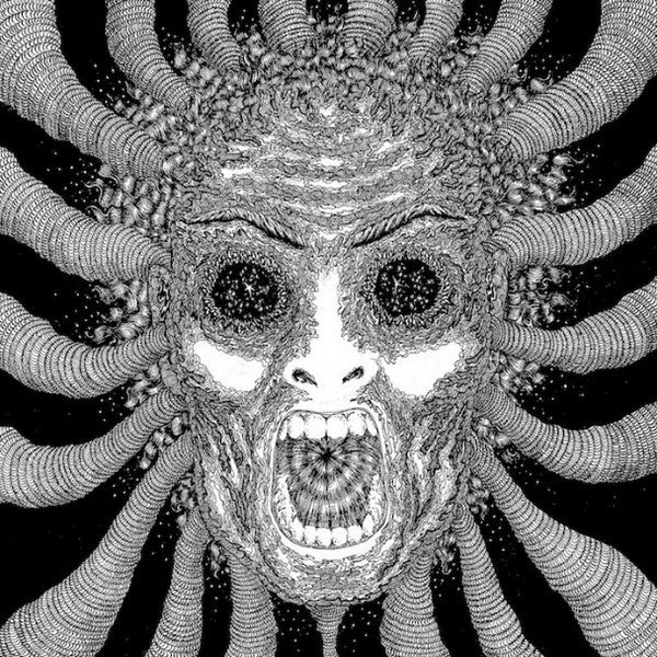 Ty Segall Band – Slaughterhouse (2xLP) LP vinyl record, image 1 of 9