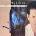 Brian Wilson – Brian Wilson LP vinyl record, image 1 of 6