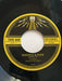 Shovels And Rope – Johnny 99 7" vinyl record, image 3 of 4