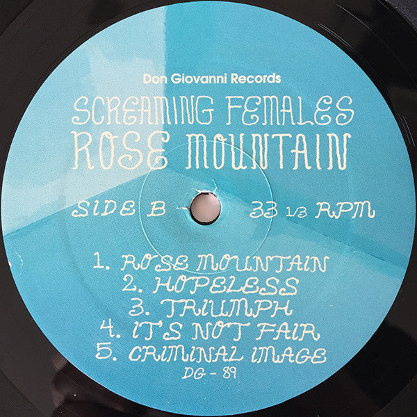 Screaming Females – Rose Mountain LP vinyl record, image 4 of 6