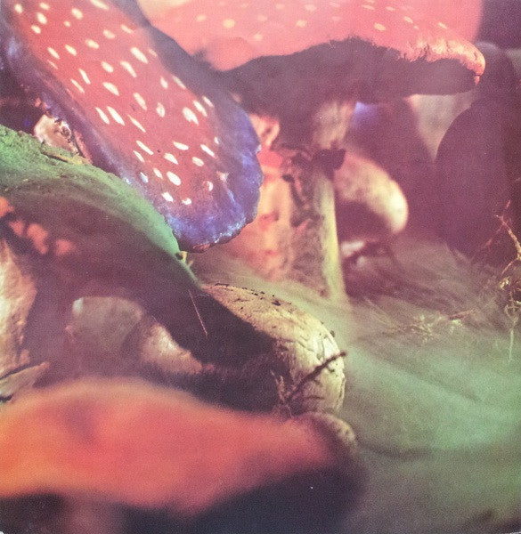 Rick Wakeman – Journey To The Centre Of The Earth LP vinyl record, image 8 of 10