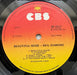 Neil Diamond – Beautiful Noise LP vinyl record, image 5 of 8
