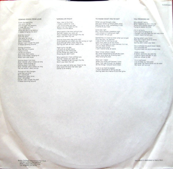 Bobby Caldwell – Cat In The Hat LP vinyl record, image 5 of 6