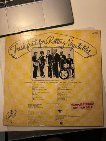 Dead Kennedys – Fresh Fruit For Rotting Vegetables LP vinyl record, image 7 of 7