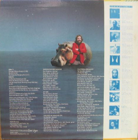 Dave Matthews, Whirlwind – Shoogie Wanna Boogie LP vinyl record, image 3 of 4