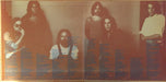 Steely Dan – Can't Buy A Thrill LP vinyl record, image 2 of 9
