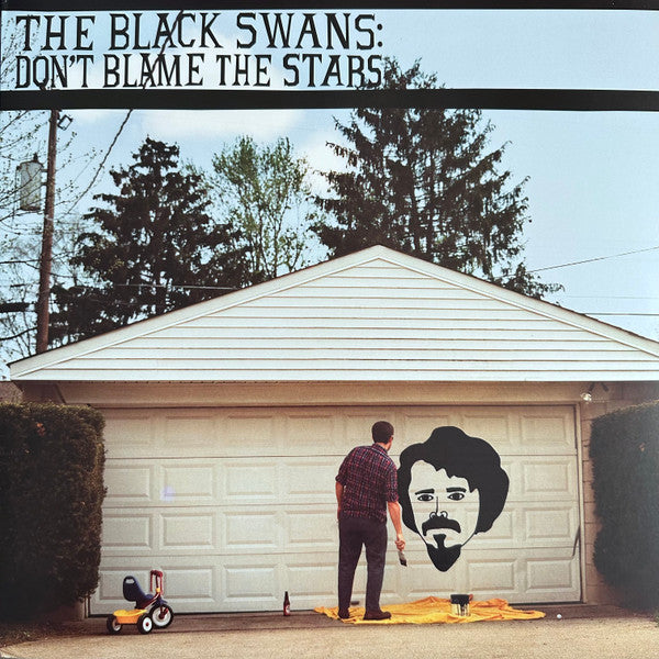 The Black Swans – Don't Blame The Stars LP vinyl record, image 1 of 6
