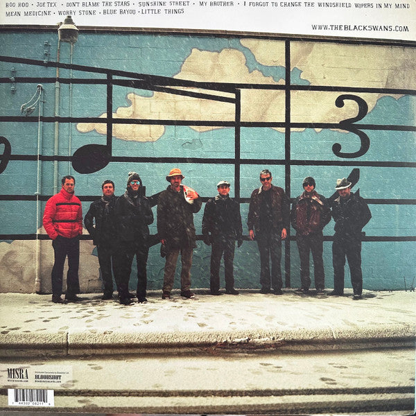 The Black Swans – Don't Blame The Stars LP vinyl record, image 2 of 6