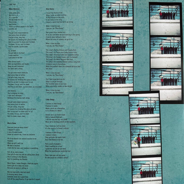 The Black Swans – Don't Blame The Stars LP vinyl record, image 6 of 6