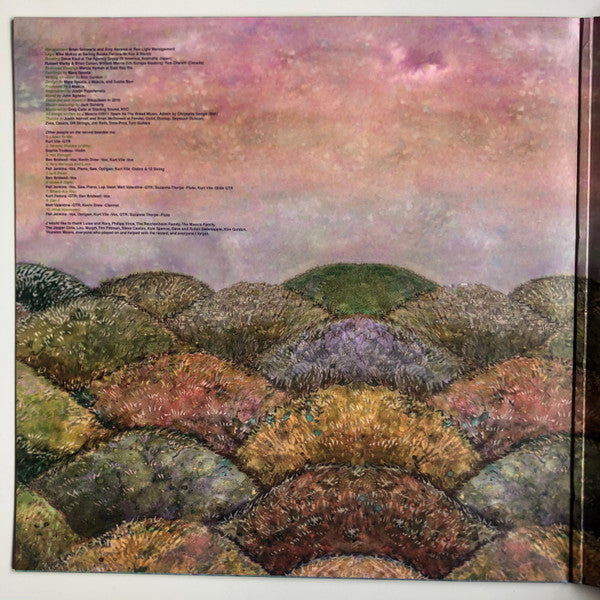 J Mascis – Several Shades Of Why LP vinyl record, image 2 of 6