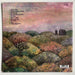 J Mascis – Several Shades Of Why LP vinyl record, image 4 of 6