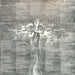 Sabbat – Dreamweaver LP vinyl record, image 8 of 10