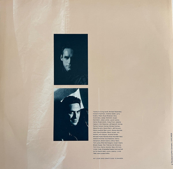 Don Henley – Building The Perfect Beast LP vinyl record, image 7 of 8