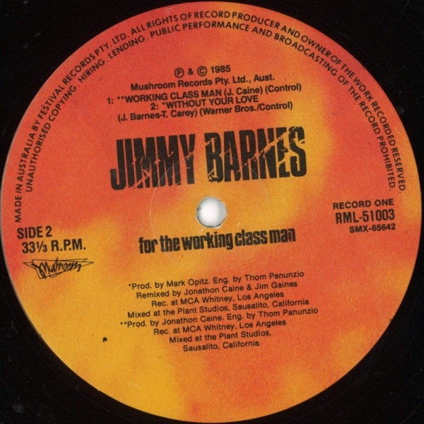 Jimmy Barnes – For The Working Class Man (2xLP) LP vinyl record, image 4 of 7