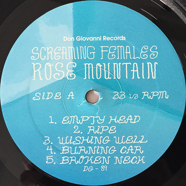 Screaming Females – Rose Mountain LP vinyl record, image 3 of 6