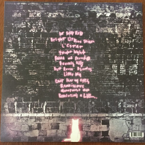 Ariel Pink's Haunted Graffiti – Before Today LP vinyl record, image 2 of 6