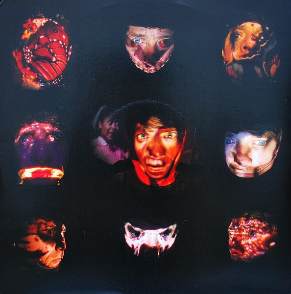 Damaged Bug – Cold Hot Plumbs LP vinyl record, image 6 of 10