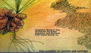 The Beach Boys – Endless Summer LP vinyl record, image 6 of 8