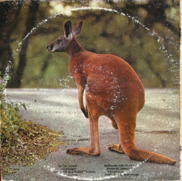 Peter Kaukonen – Black Kangaroo LP vinyl record, image 4 of 10