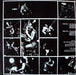 AC/DC – Let There Be Rock LP vinyl record, image 2 of 6