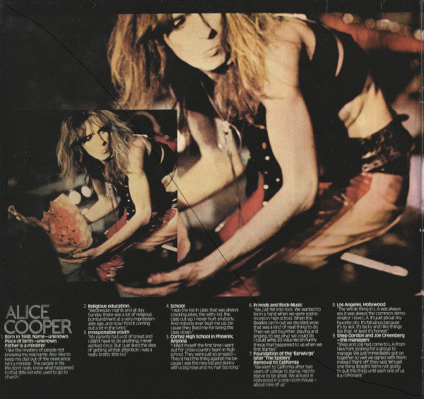 Alice Cooper – School Days - The Early Recordings (2xLP) LP vinyl record, image 2 of 6