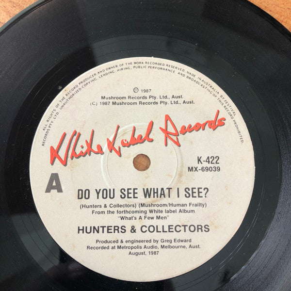 Hunters & Collectors – Do You See What I See?