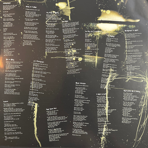 Suicide Silence – The Cleansing (Ultimate Edition) (2xLP) LP vinyl record, image 9 of 10