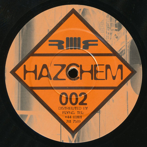 Well Paid Scientists – The Goose / The Gander / Duck Pond 12" vinyl record, image 2 of 3
