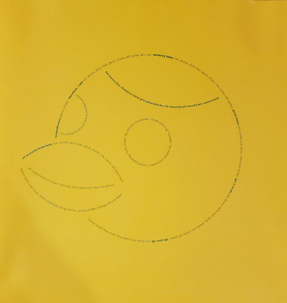 Jim O'Rourke – Insignificance LP vinyl record, image 6 of 8