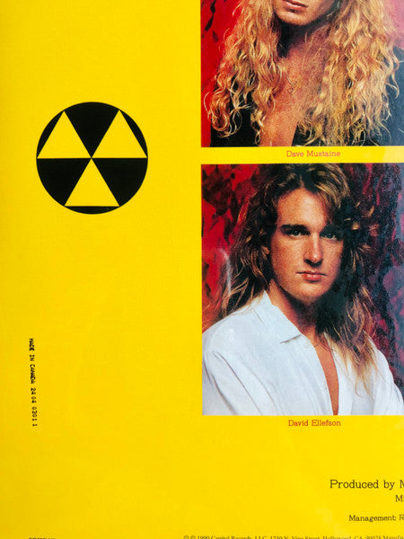 Megadeth – Rust In Peace LP vinyl record, image 7 of 8