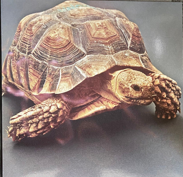 Aldous Harding – Warm Chris LP vinyl record, image 3 of 10