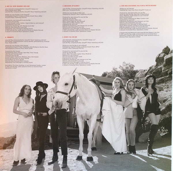 Lana Del Rey – Chemtrails Over The Country Club LP vinyl record, image 5 of 8