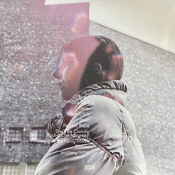Aldous Harding – Warm Chris LP vinyl record, image 4 of 10