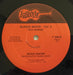 Bukka White – Sky Songs Vol. 2 LP vinyl record, image 4 of 4
