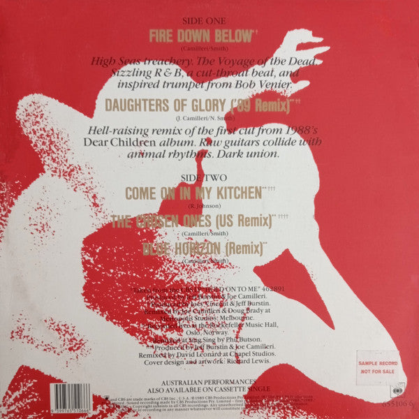 The Black Sorrows – Fire Down Below 12" vinyl record, image 2 of 4