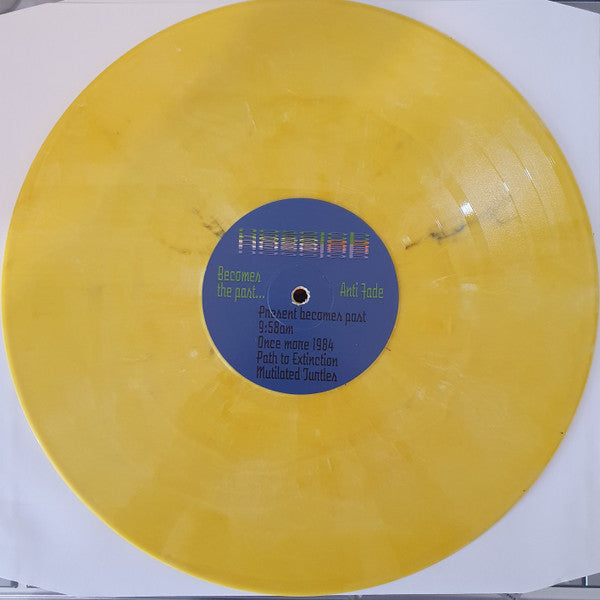 Alien Nose Job – Once Again The Present Becomes The Past LP vinyl record, image 3 of 8