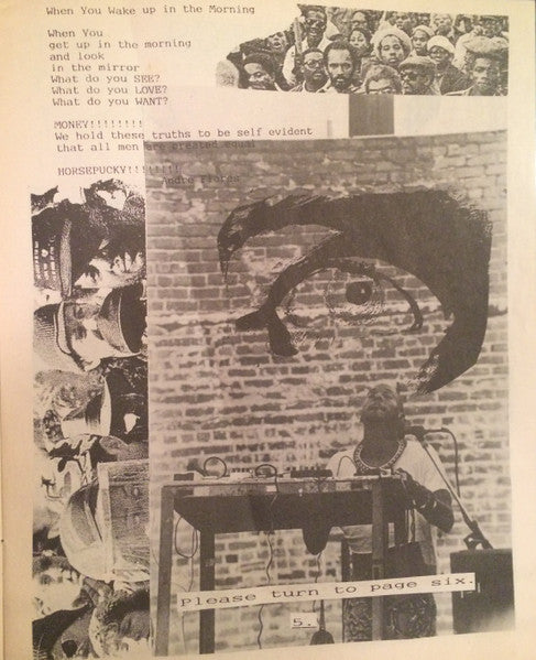 The Beatnigs – The Beatnigs LP vinyl record, image 9 of 10