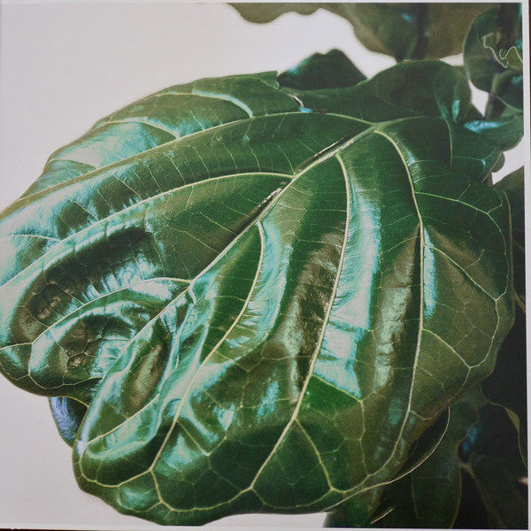 The Jungle Giants – Quiet Ferocity LP vinyl record, image 5 of 10