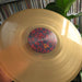 Gilroy Mere – Adlestrop LP vinyl record, image 6 of 6