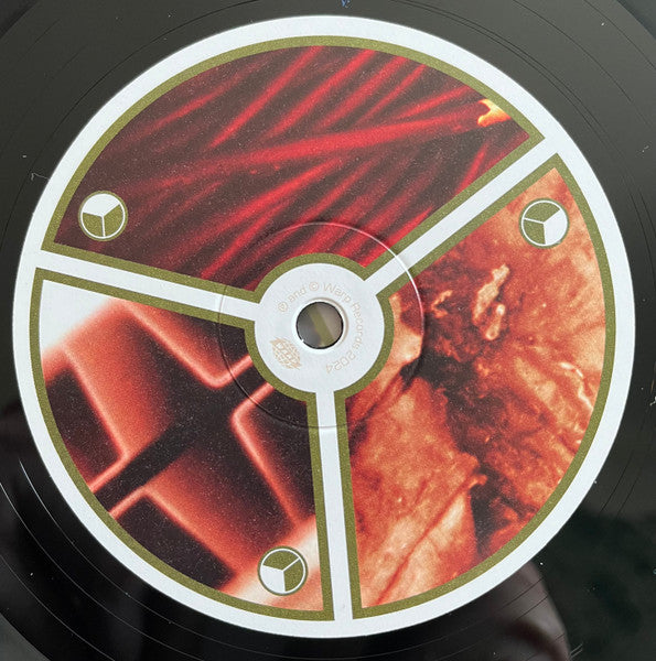 Aphex Twin – Selected Ambient Works Volume II (4xLP) LP vinyl record, image 3 of 10