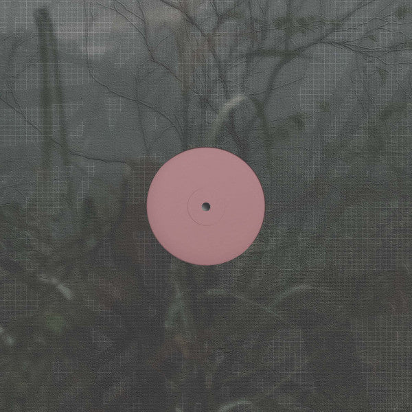 Alien D – For The Early Hours Of A World In Bloom LP vinyl record, image 1 of 2