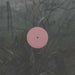 Alien D – For The Early Hours Of A World In Bloom LP vinyl record, image 1 of 2