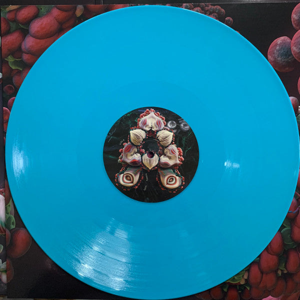 Björk – Fossora (2xLP) LP vinyl record, image 9 of 10