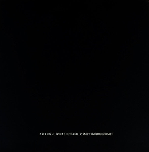 Nine Inch Nails – Broken 12" vinyl record, image 10 of 10
