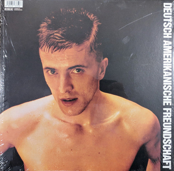 Deutsch Amerikanische Freundschaft – Alles Ist Gut LP vinyl record, image 2 of 6