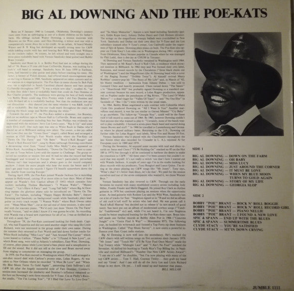 Al Downing – Big Al Downing And The Poe-Kats LP vinyl record, image 2 of 4